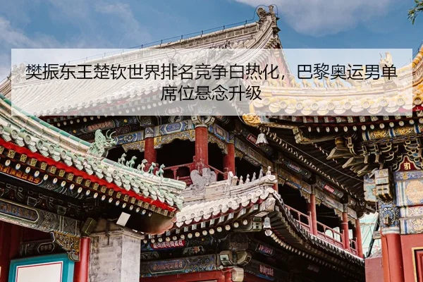 樊振东王楚钦世界排名竞争白热化，巴黎奥运男单席位悬念升级