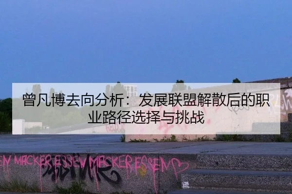 曾凡博去向分析：发展联盟解散后的职业路径选择与挑战